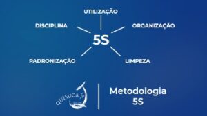 Os 5 sensos da metodologia 5S.