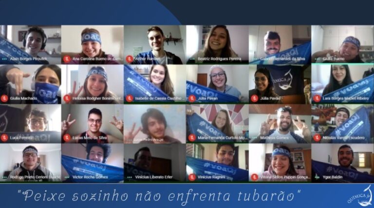 Chamada de vídeo com a equipe.