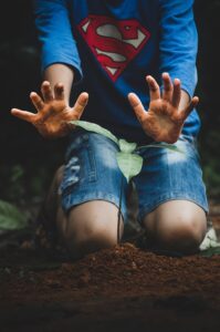 criança plantando uma muda de planta