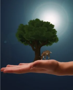 Árvore e animal em cima de mão