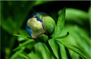 Planeta Terra saindo de uma planta