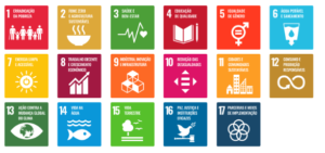 Objetivos do Desenvolvimento Sustentável elencados pela Nações Unidas
