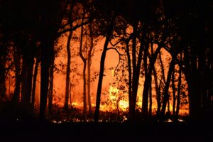 A prática de queimadas é um dos grandes agravadores das mudanças climáticas.